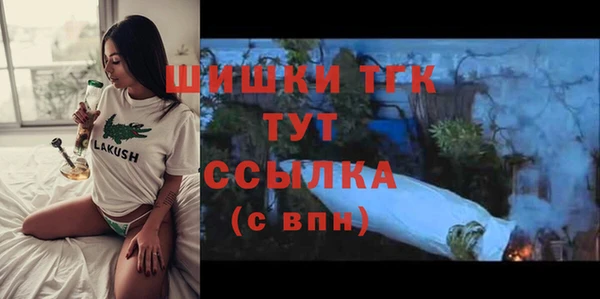 хмурый Осинники