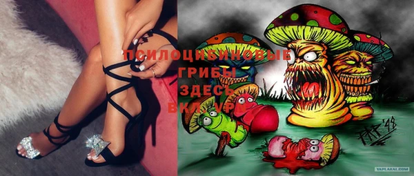 ECSTASY Осташков