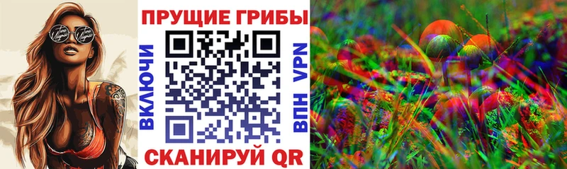 Псилоцибиновые грибы мухоморы  Элиста 